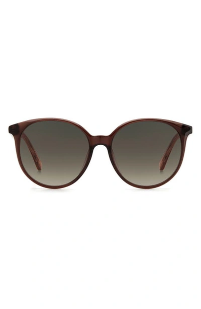 Kate Spade 56mm Kaiafs Round Sunglasses In Brown/ Brown Gradient