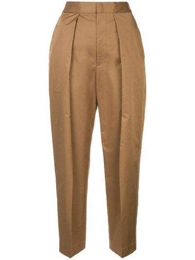 Astraet Pleated Front Tapered Trousers