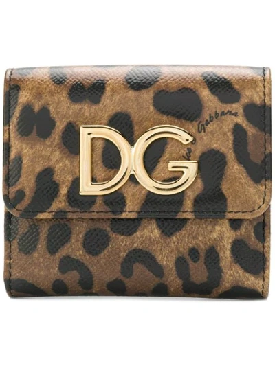 Dolce & Gabbana Small Leopard Print Wallet In Brown