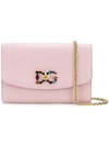 Dolce & Gabbana Crossbody Wallet Bag - Pink