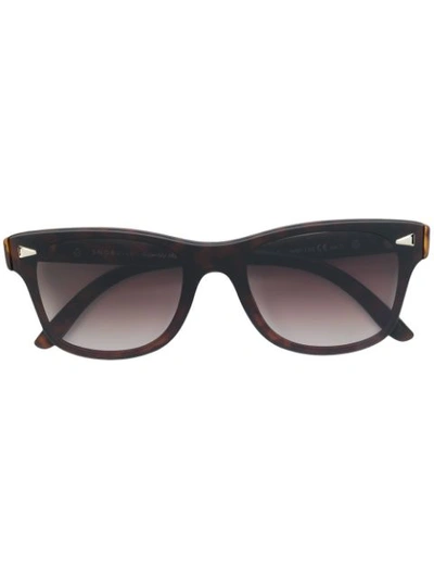 Snob Gallo Sn01.c02 Sunglasses In Brown