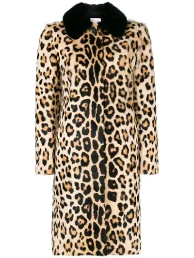 Red Valentino Leopard Print Coat In Brown