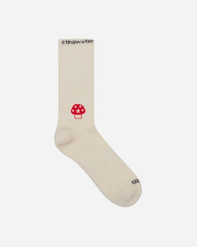 Stingwater Classic Aga Socks In White
