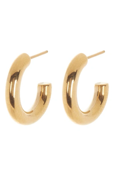 Nordstrom Rack Thick Tube Waterproof Huggie Hoop Earrings In Gold