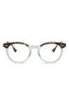 Ray Ban 49mm Eagle Eye Square Optical Glasses In Trans Green