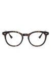 Ray Ban Eagle Eye 51mm Square Optical Glasses In Havana