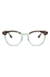 Ray Ban Eagle Eye 51mm Square Optical Glasses In Trans Green