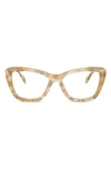 Tory Burch 53mm Butterfly Optical Glasses In Honey
