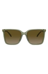 Michael Kors Canberra 56mm Square Sunglasses In Green Havana