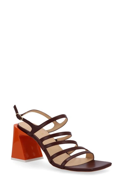 Alohas Aubrey Strappy Sandal In Brown