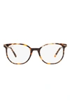 Ray Ban Elliot 48mm Irregular Optical Glasses In Brown Havana