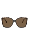 Michael Kors Malia 58mm Square Sunglasses In Brown