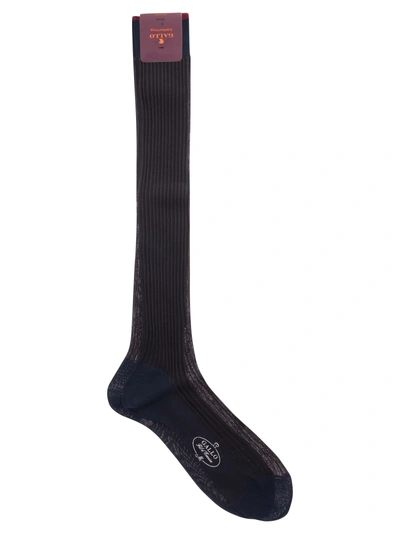 Gallo Cotton Long Socks In Black