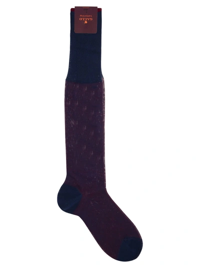Gallo Long Cotton Socks In Purple