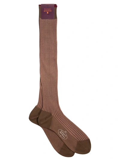 Gallo Long Cotton Socks In Brown