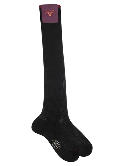 Gallo Long Cotton Socks In Black
