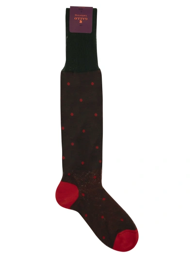 Gallo Polka Dot Cotton Long Socks In Green