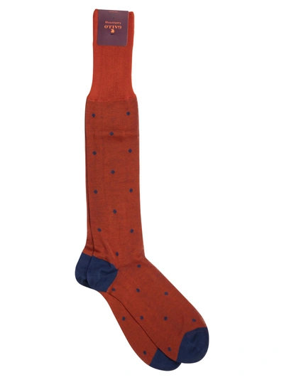 Gallo Polka Dot Cotton Long Socks In Orange
