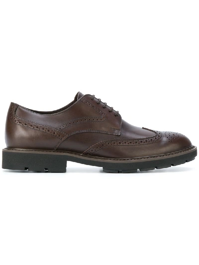 Tod's Classic Brogues In Brown