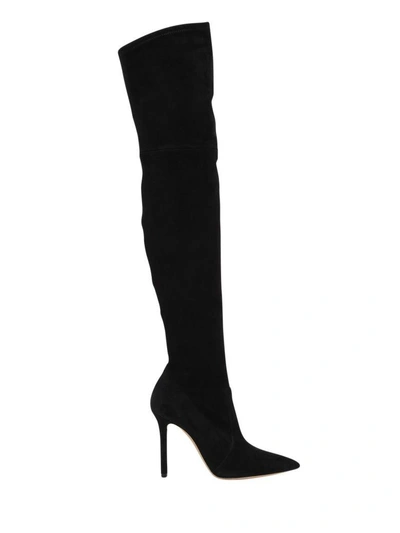 Casadei Over-the-knee Suede Boots In Nero