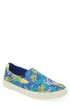 Olukai Lae'ahi Pa'i Slip-on Sneaker In Sunset Blue/aloha