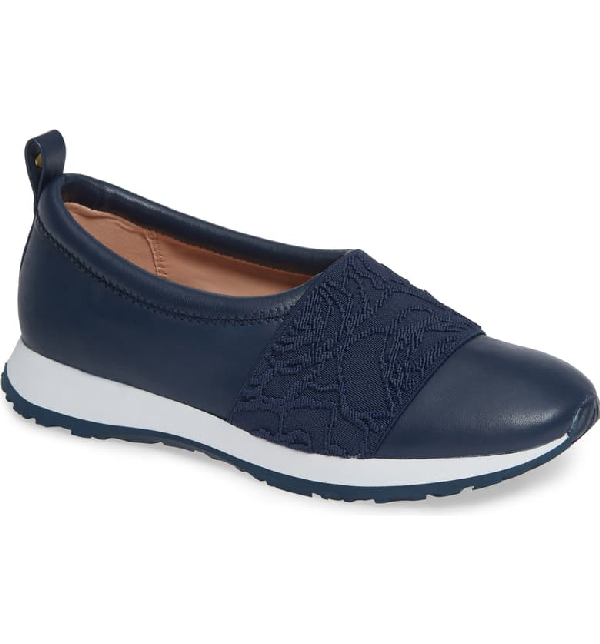 taryn rose charlotte