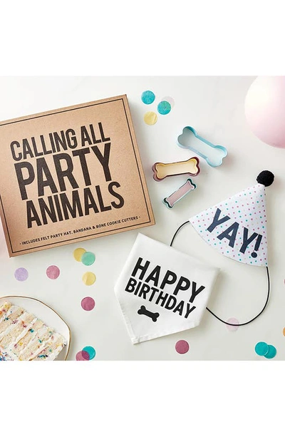 Creative Brands Party Animal Pet Birthday Box