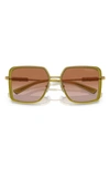 Versace 56mm Gradient Square Sunglasses In Green