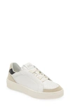 Stuart Weitzman Courtside Retro Sneaker In Light Beige, White & Black