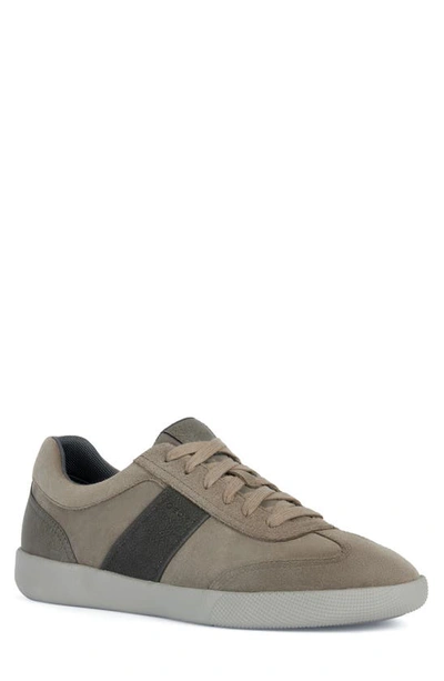 Geox Rieti Sneaker In Dove Grey/ Mud