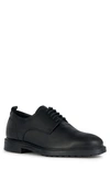 Geox Tiberio Derby In Black