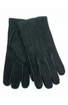 Portolano Suede Gloves In Black