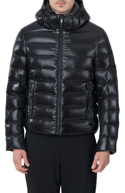 The Recycled Planet Company Scutar Windproof & Water Repellent Recycled Down Puffer Jacket In Black