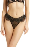 Honeydew Intimates Flora Lace Thong In Black