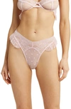 Honeydew Intimates Flora Lace Thong In Precious
