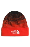 The North Face Dock Worker Recycled Beanie In Red