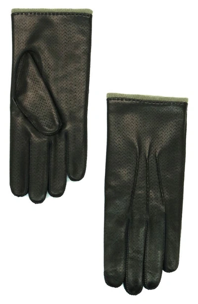 Portolano Perforated Leather Gloves In Black/ Wood Smoke