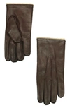 Portolano Perforated Leather Gloves In Mahogany/ Asinel