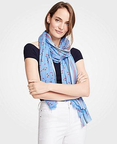 Ann Taylor Lily Leaves Scarf In Clear Horizon