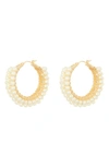 Tasha Imitation Pearl Hoop Earrings In Yellow Gold
