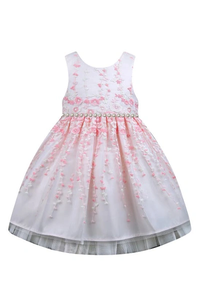American Princess Kids' Embroidered Special Occasion Dress In Blush