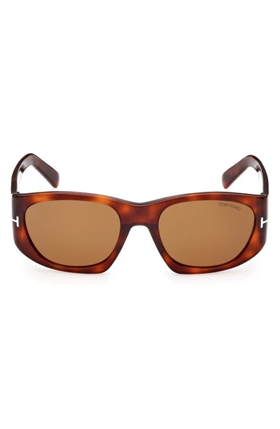 Tom Ford Christian 53mm Square Sunglasses In Shiny Dark Brown/ Brown, ModeSens