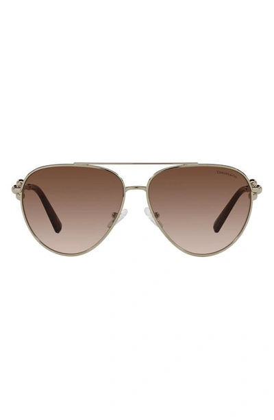 Tiffany & Co 59mm Gradient Pilot Sunglasses In Pale Gold