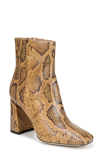 Sam Edelman Codie Square Toe Bootie In Cuoio Snake