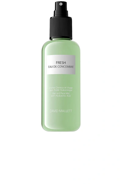 David Mallett Spray Fresh Eau De Concombre Hair And Face Mist