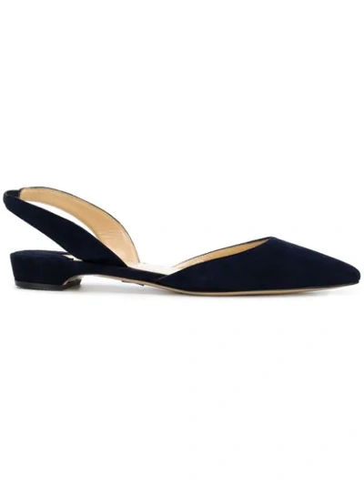 Paul Andrew Pointed Ballerina Shoes In Blue
