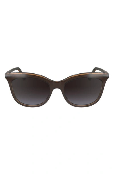 Longchamp 53mm Gradient Cat Eye Sunglasses In Brown