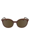 Longchamp 50mm Round Sunglasses In Brown/ Caramel