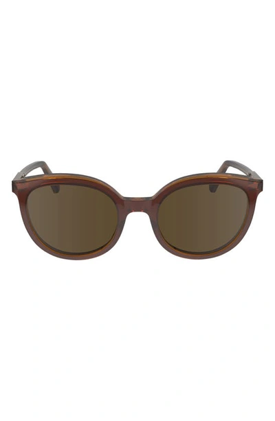 Longchamp 50mm Round Sunglasses In Brown