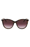 Longchamp 55mm Gradient Tea Cup Sunglasses In Brown